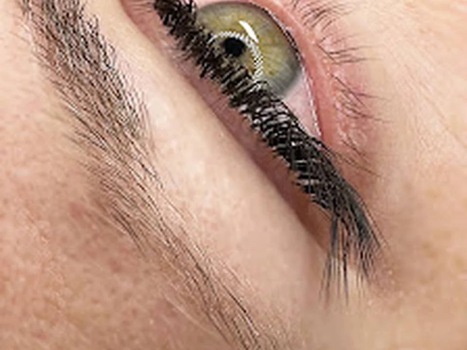 Rotterdam Lash and brow