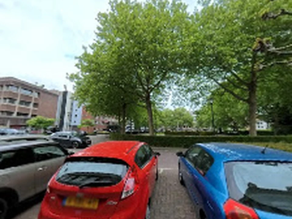 Verf- en behangwinkel Dordrecht - Decoprof, Rotterdam