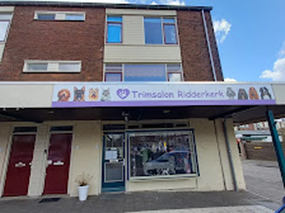 Trimsalon Ridderkerk, Rotterdam