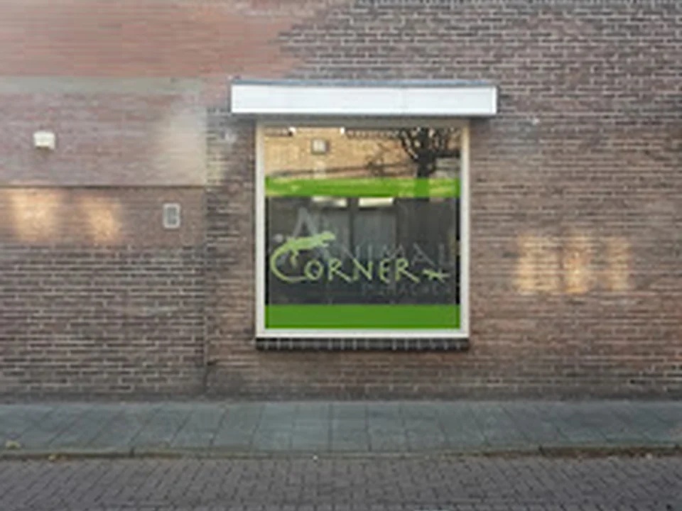 Animal Corner, Rotterdam