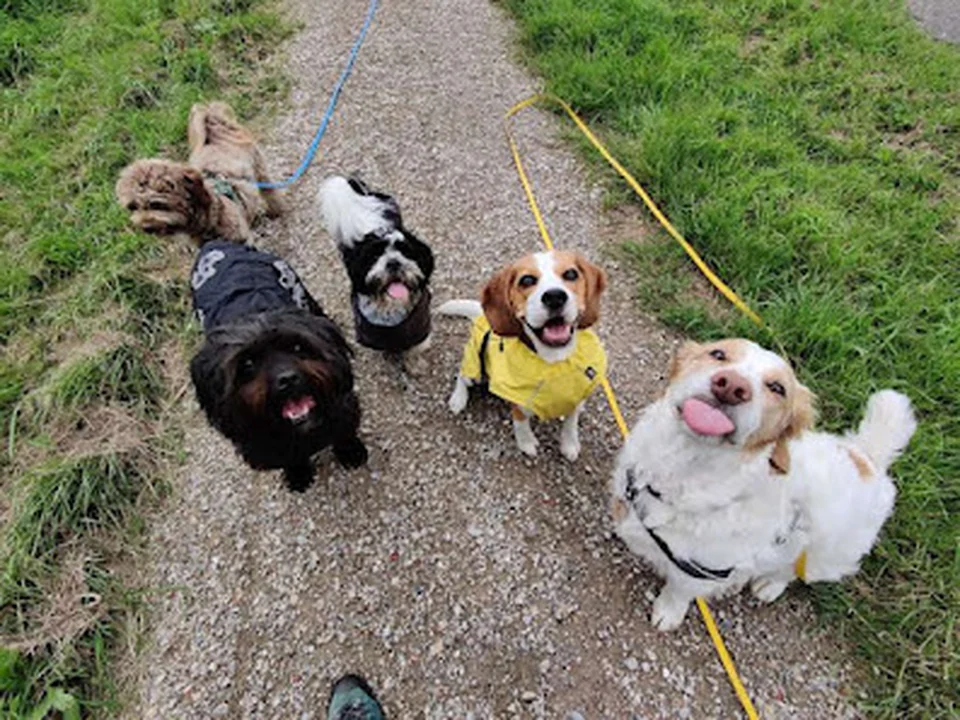 Petpals Rotterdam
