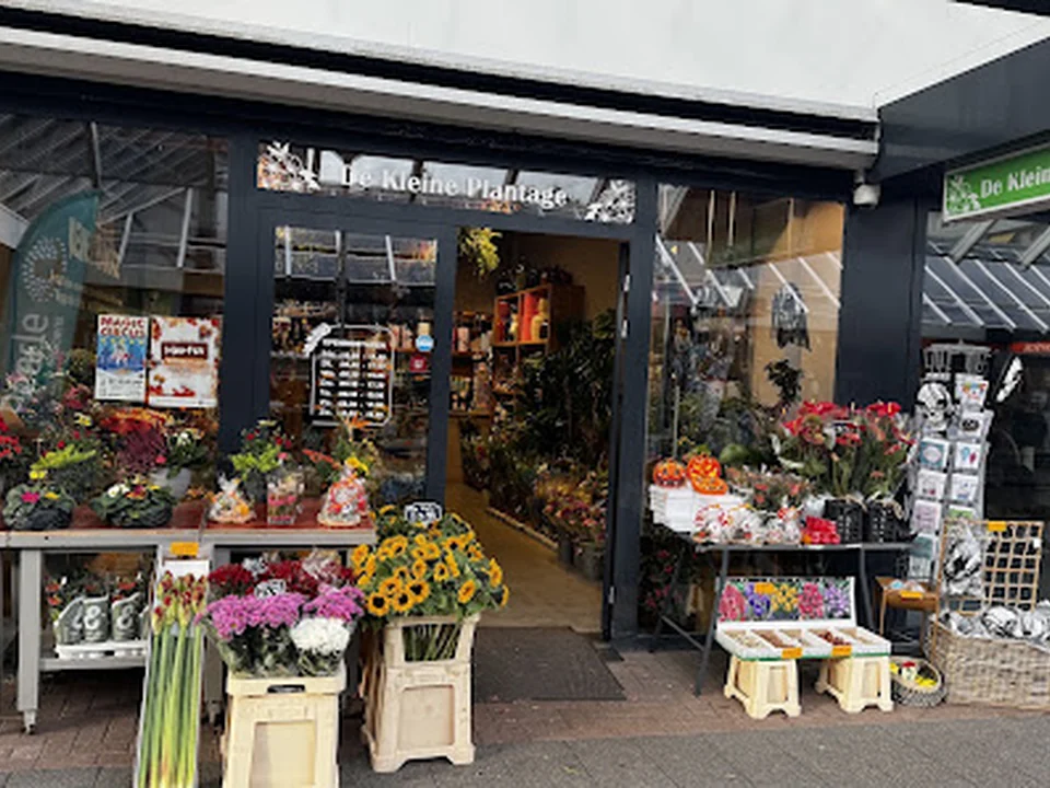 De kleine plantage, Rotterdam