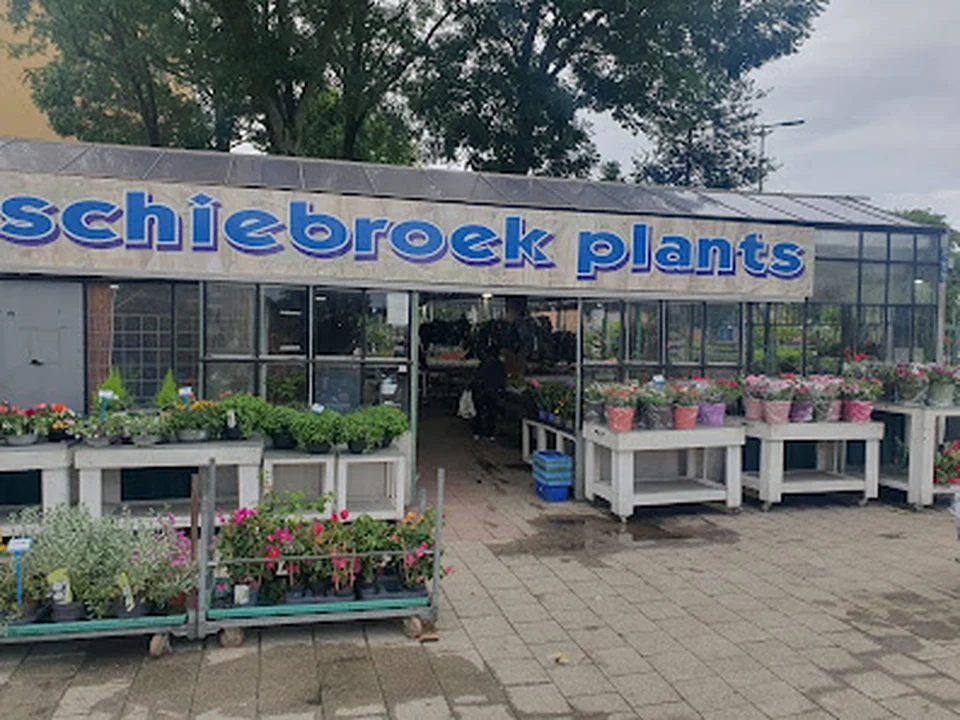 Tuincentrum Schiebroek/ Schiebroek Plants, Rotterdam