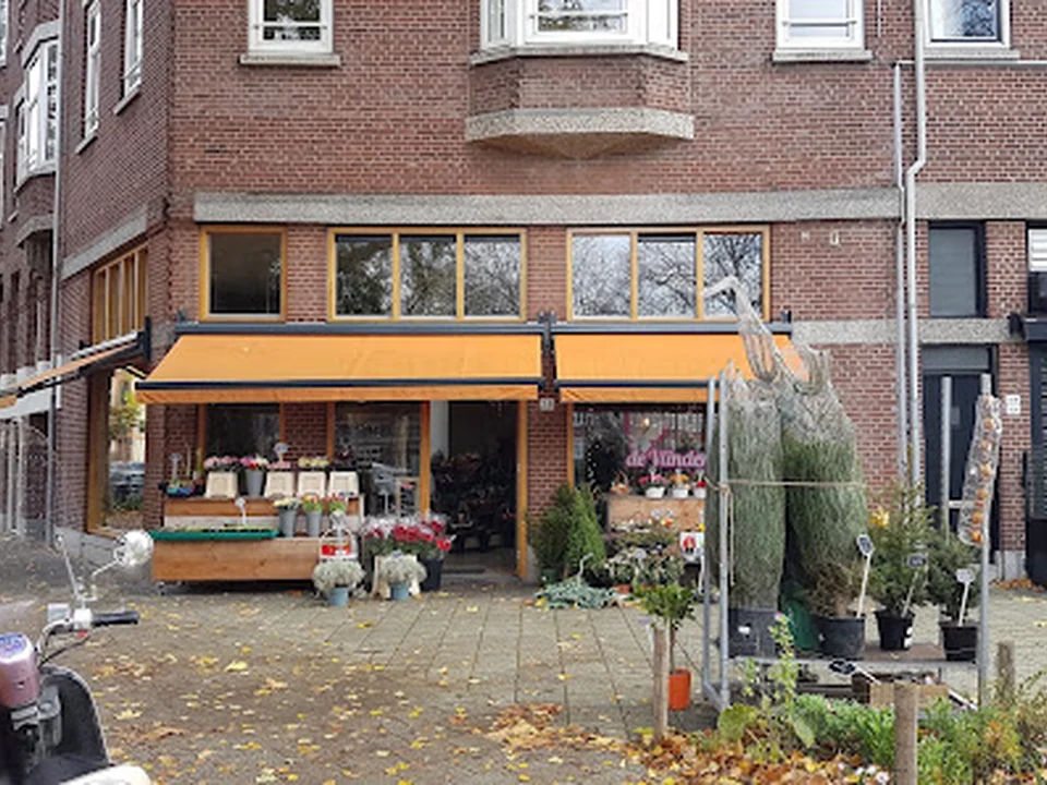 Bloemisterij De Vlinder💐, Rotterdam