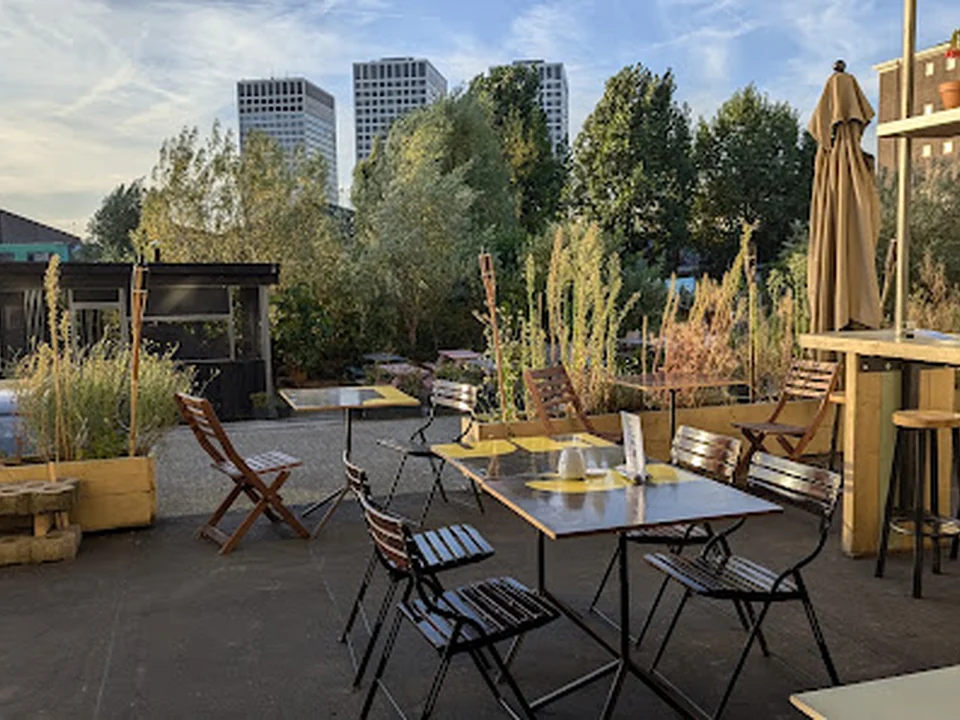 Koertino, Rotterdam