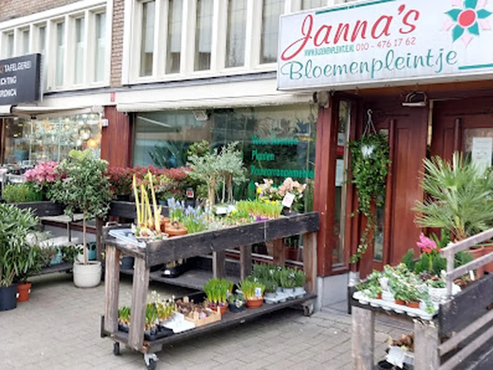 Janna's Bloemenpleintje, Rotterdam