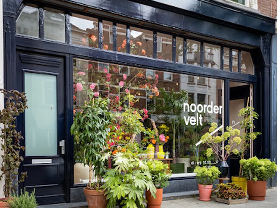 Noordervelt, Rotterdam