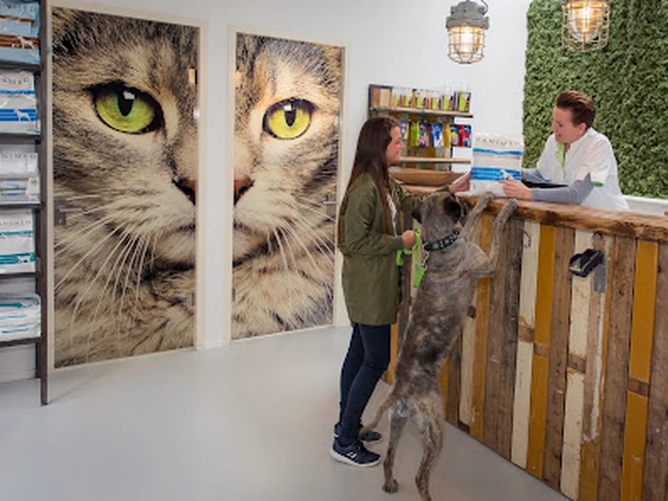Dierenkliniek Kralingen, Rotterdam