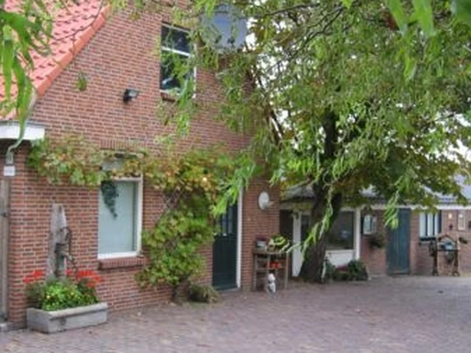 Dierenpension Roma, Rotterdam