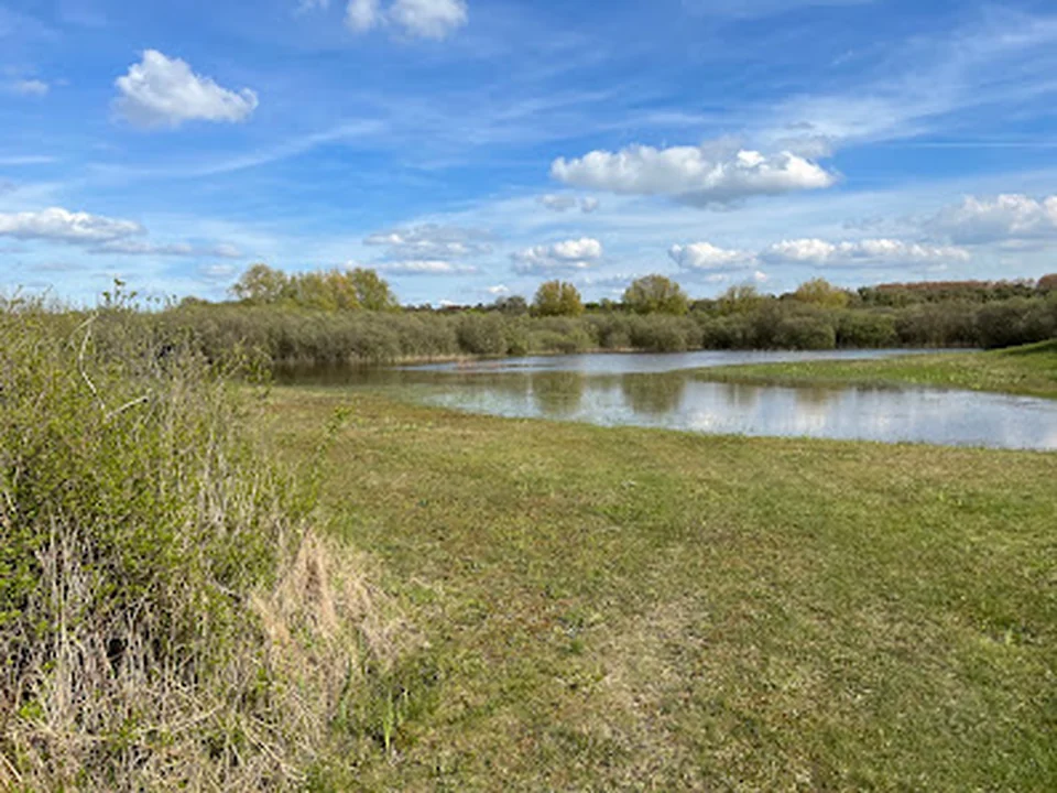 Zuid-Hollands Landschap, Rotterdam