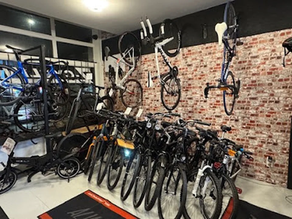 Z-Cycling, Rotterdam