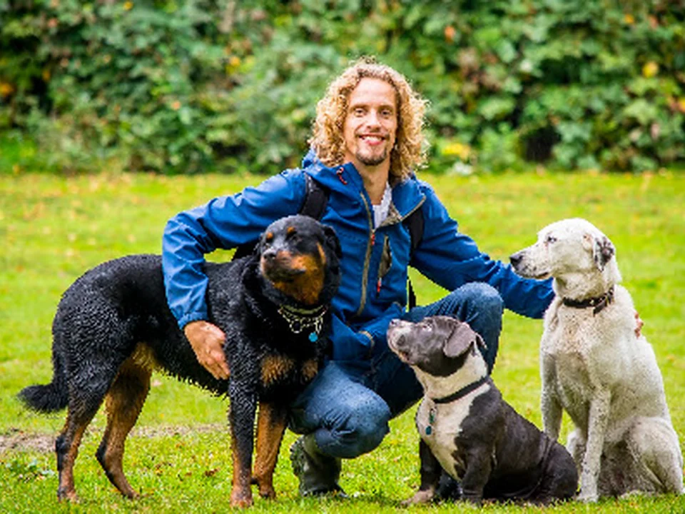 Support 4 Dogs, Rotterdam