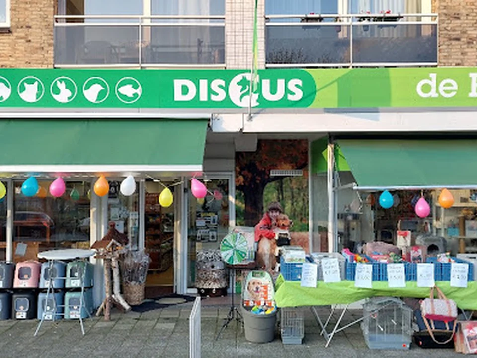 Discus de Feij, Rotterdam