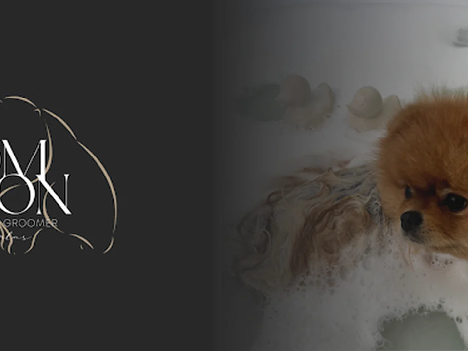 Pom Salon Zuidplas Rotterdam