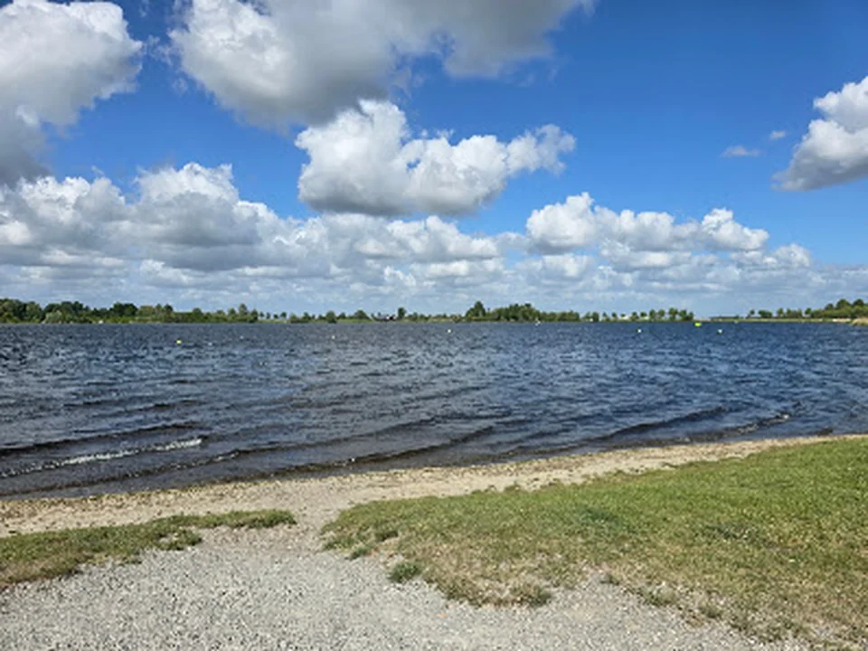 Hondenstrandje, Rotterdam